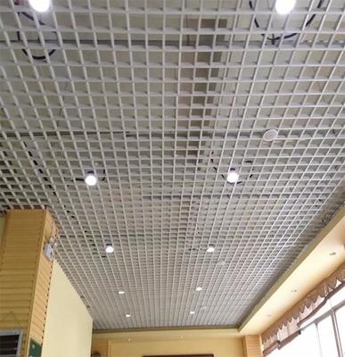 techo de aluminio de la rejilla de 50x50m m para la prenda impermeable ligera de la estación de metro