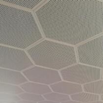 Aluminio hexagonal Clip-en el techo para la decoración de la pared de Convention Center